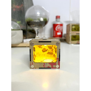 [DT01] Tank Đứng Mini