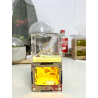 [DT01] Tank Đứng Mini