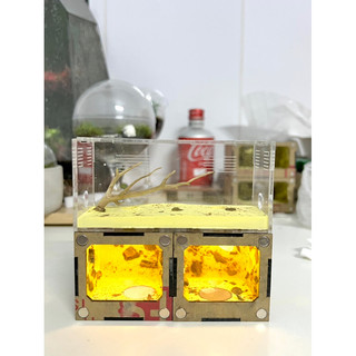 [DT01] Tank Đứng Mini