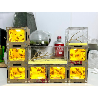 [DT01] Tank Đứng Mini