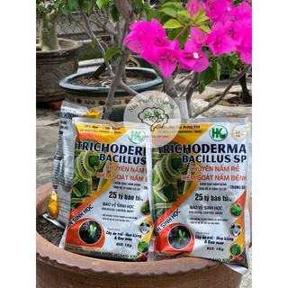 Trichoderma gói 1kg nấm đối kháng, phân huỷ rơm rạ, bổ sung vi sinh vật có ích ...