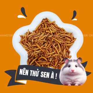 Sâu Sấy Hamster Giúp Bổ Sung Canxi - Protein - Đạm Mỗi Ngày