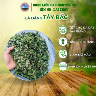 Lá đắng Tây Bắc lá cơm kìa tốt cho dạ dày đại tràng