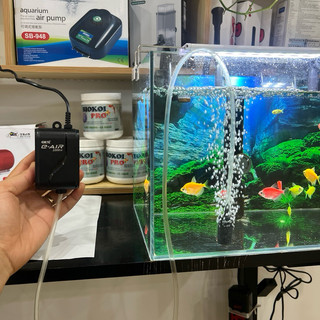 Máy Sục Khí 1 Vòi GEX E-AIR 1000SB Nhật Bản (máy sủi khí oxy chạy êm, siêu tiết kiệm điện, tặng kèm 1 bộ dây quả sủi)