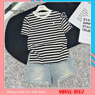 Áo Phông Giấy Kẻ Sọc Thêu Ngựa Mác GIGI Hàng QC Minxu Shop PZ35