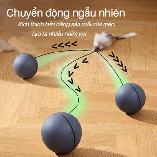 Bóng đồ chơi cho mèo thông minh kèm chuột, Bóng lăn cho mèo chống mài mòn bằng điện, vui nhộn với chuột ABS chống cắn