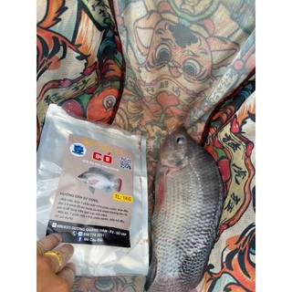 Mồi Câu " Có " 1kg rô phi , chép