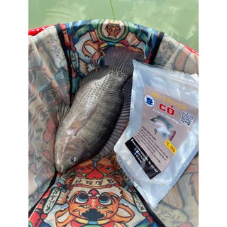 Mồi Câu " Có " 1kg rô phi , chép
