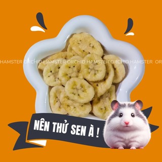 Chuối sấy cho hamster/sóc/bọ/nhím bổ sung vitamin c - b6 chất sơ