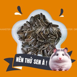 Hạt Hướng Dương Cho Hamster