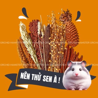 Kê chùm/cành lanh/cành bobo dưỡng lông cho hamster/sóc/bọ