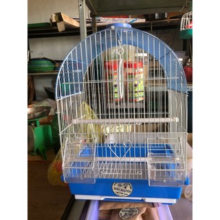 Lồng nuôi chim Yến phụng mái vòm dễ thương