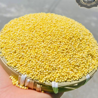 500gr HẠT KÊ NẾP VÀNG - bao dẻo và thơm, đã tách vỏ dùng nấu chè