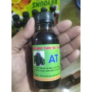 KÍCH RỄ MAI VÀNG AT ( MUA 1 TẶNG 1)