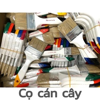 CỌ QUÉT SƠN CÁN CÂY TB CAO CẤP