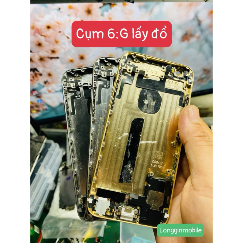 Cụm 6:G vỏ xấu như hình cho anh em lấy đồ