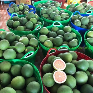 Vỏ bưởi da xanh khô 200g (mỏng thơm)
