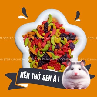 Kaytee Trái Cây Bổ Sung Vitamin A - Rotein Cho Hamster/Sóc/Nhím/Bọ/Thỏ Và Thú Cưng