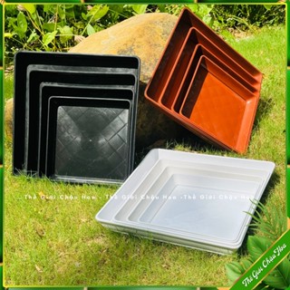 Khay nhựa hình vuông, đĩa nhựa, máng trồng rau, khay hứng nước đa năng, dày dặn nhựa cao cấp nhập khẩu ABC