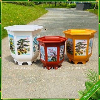 Chậu nhựa lục giác in, trồng cây bon sai, chậu lục giác cao, trông cây kiểng và hoa, trang trí sân vườn tiểu cảnh