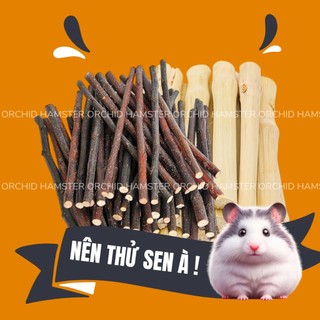 Cành Táo - Tre Ngọt Mài Răng Hamster/Sóc/Thỏ/Bọ/Nhím