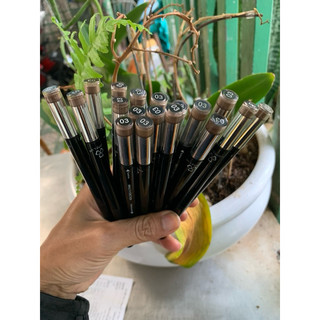chì kẻ mày ngang Tán bột
