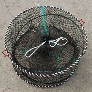 Lồng Lò xo  Bẫy BaBa