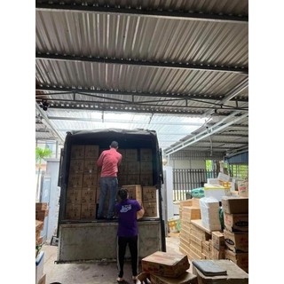 Nước Giặt Pari Can 5l Đậm Đặc