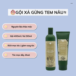 BỘ GỘI XẢ GỪNG HÀ THỦ Ô WEILAIYA