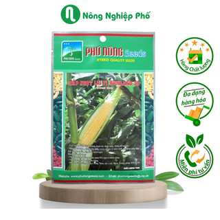 Hạt giống Bắp ngọt (Lai giống bắp Mỹ) Phú Nông - Gói 5 gram