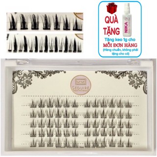 Lông mi giả SEDUIRE loại tách sợi thành từng chùm