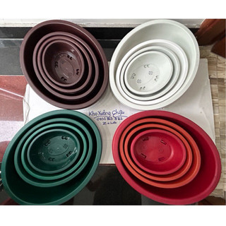 Chậu nhựa Oval trang trí Để Bàn - Trồng Cây Đa Năng - chậu NHIỀU LỖ chuyên trồng cây bonsai