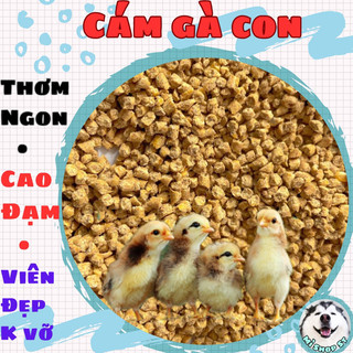Cám gà con 21% cao đạm, không tiêu chảy, dễ tiêu hóa
