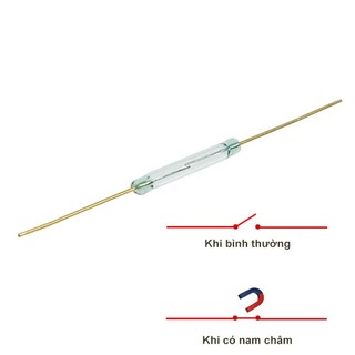 Combo 3 Công Tắc Từ FR3S 2x14mm 2 Chân