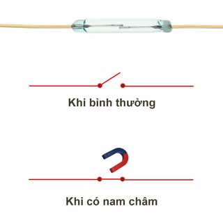 Combo 3 Công Tắc Từ FR3S 2x14mm 2 Chân