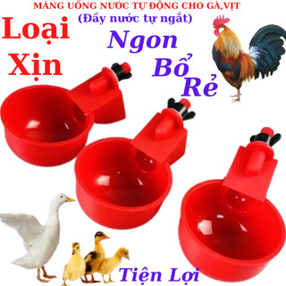 Cốc uống nước tự động gắn thùng sơn cho gà, vịt, ngan.
