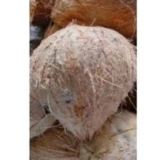 Combo 5 quả dừa khô nguyên trái nặng từ 1kg
