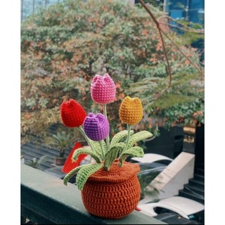 Bó Hoa Tulip Len Handmade