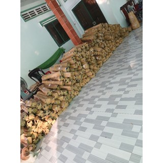 Cau lùn tứ quý(cau tứ thời)