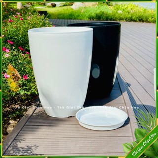 Chậu nhựa tròn giả sứ trồng cây dáng cao, chậu bom trơn, trồng cây kiểng và hoa, trang trí ban công, sân vường hành lang