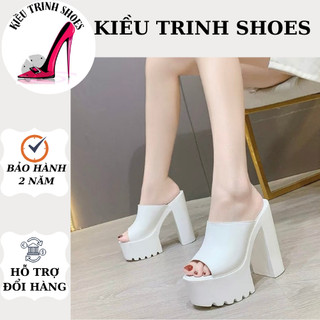 Dép nữ cao gót nữ cao 14 phân siêu phẩm dạ hội , tiệc tùng siêu hót