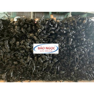 Dây bao đen cột đa năng bóng chắc