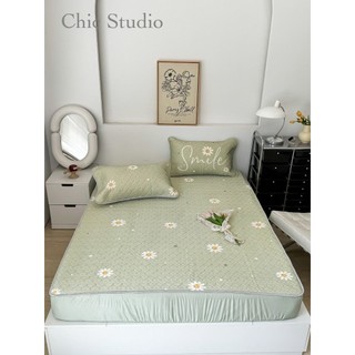 CHIẾU ĐIỀU HÒA CHIC LATEX 6D VIP