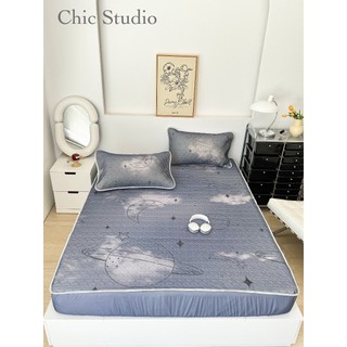 CHIẾU ĐIỀU HÒA CHIC LATEX 6D VIP