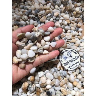 Sỏi cuội suối trải nền hồ cá thủy sinh ,đá cuội ,sỏi hồ cá viên kích thước 1-3cm 1kg