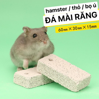 Đá mài răng canxi dành cho hamster / thỏ / bọ ú ...