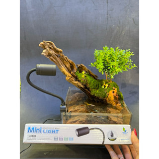 Đèn kẹp mini ánh sáng vàng, đèn rọi hồ cá mini, đèn kẹp bình terrarium