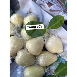 Cây 🌲 Mận trắng  giống mới   rất ngọt  trái to 