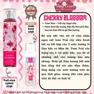 Cherry Blossom - Xịt thơm toàn thân Body Mist Bath Body Works BBW