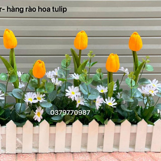 Chậu hàng rào gỗ hoa 50cm hàng sẵn. Có bán riêng chậu 50cm, 100cm